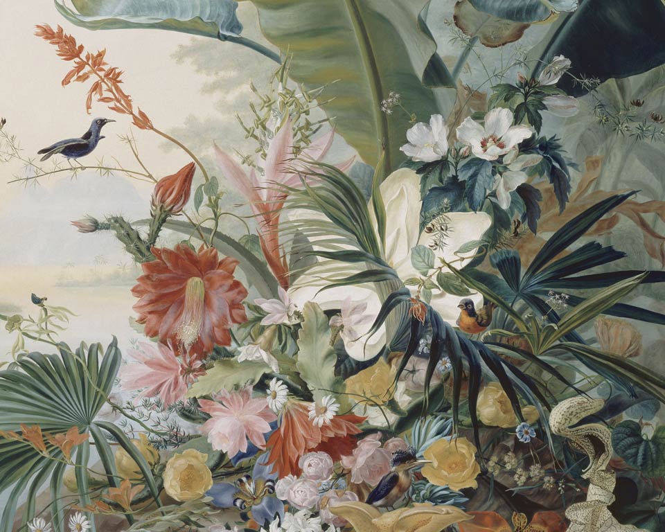 Scenic Wallpaper Exotic Flower Papiers De Paris