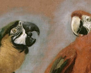 4 Macaws  - Decorative panel