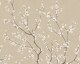 Sakura _Sandstone- Wallpaper