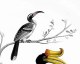 Cayenne birds /2-  Decorative panel