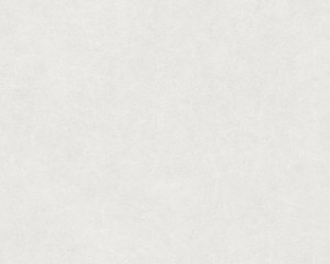 Faux plain - antique wallpaper - light gray