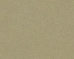 Faux plain - antique wallpaper - linden
