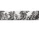 The undergrowth - Wallpaper mural