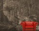 Brasilian Forest - Wallpaper mural