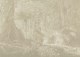 Brasilian Forest - Wallpaper mural