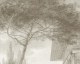 Turkish scene 2/2 - Wallpaper mural