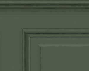 Boiserie Francese - carta da parati architettura