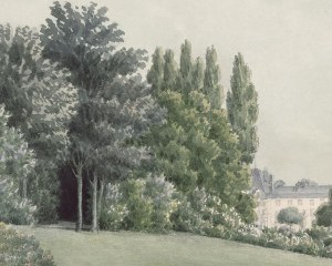 Paesaggio panoramico  - carta da parati paesaggio