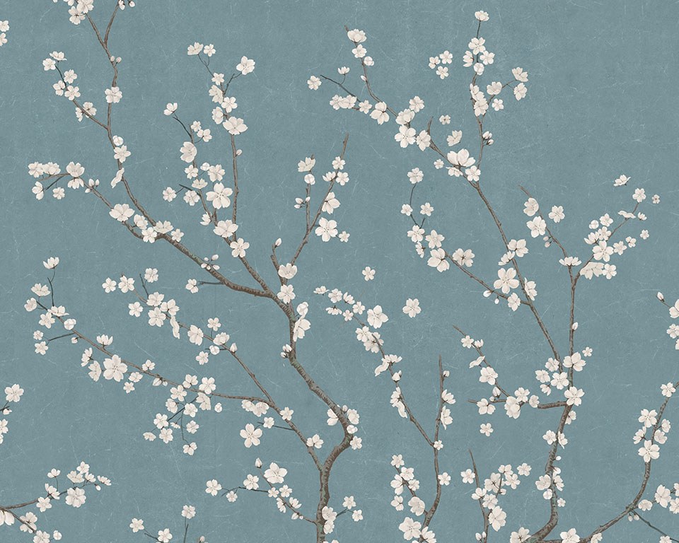 Sakura_Bleu - Papier peint