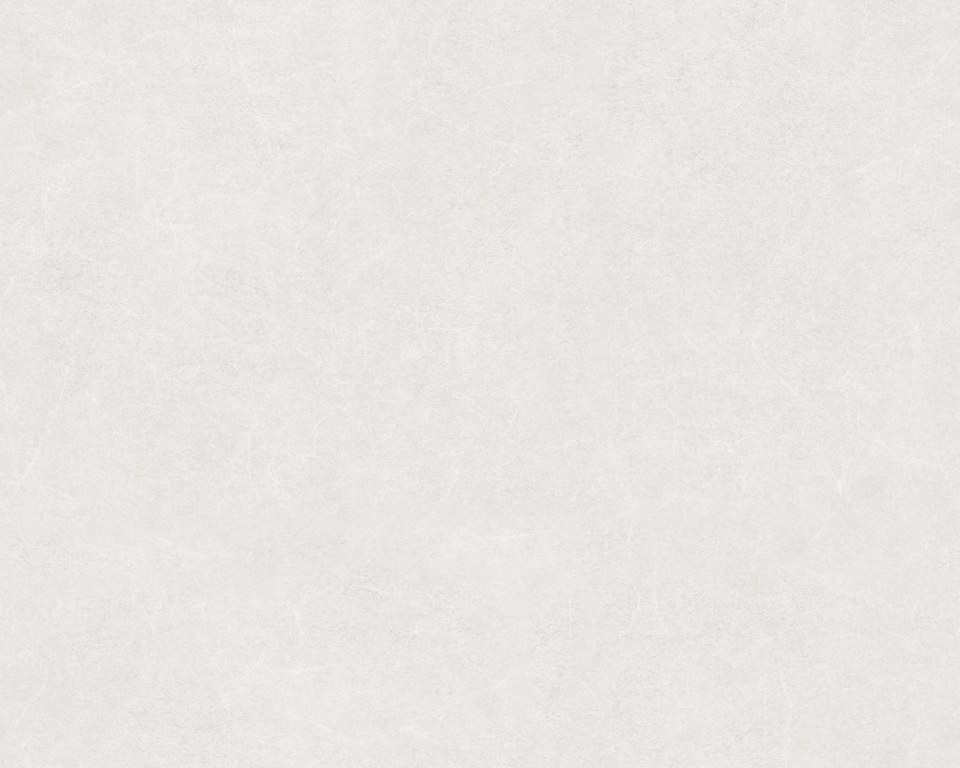 Faux uni - papier peint ancien - gris clair