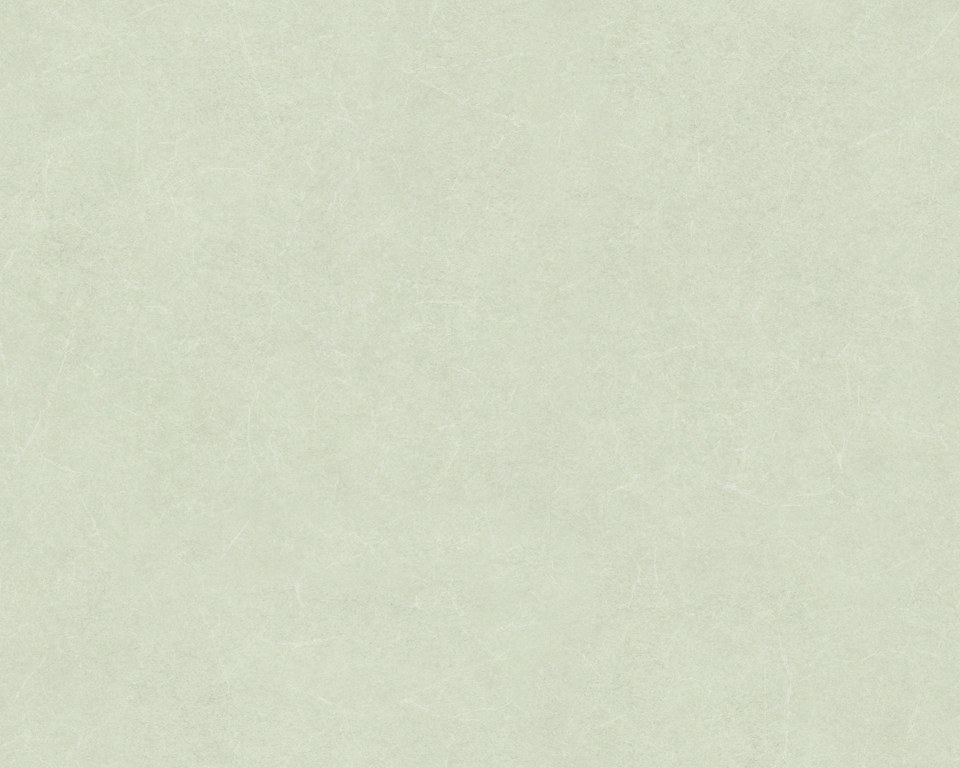 Faux uni - papier peint ancien - vert d'eau