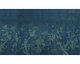 Fleurs et oiseaux - Panoramique