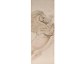 Cheval cabré - Papier peint