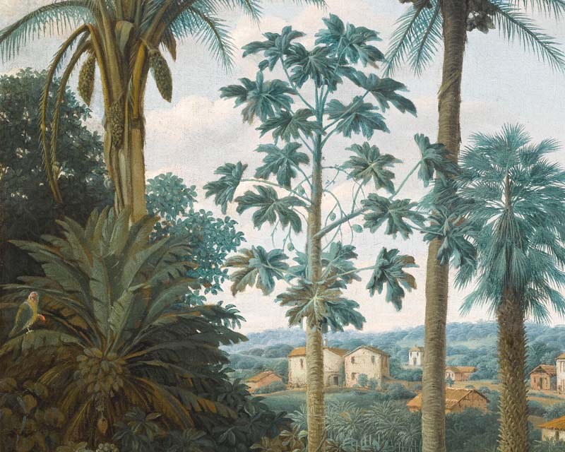 Plantation du Brésil - Papier peint